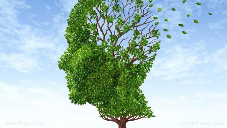 B is for brain: Nicotinamide riboside is crucial in preventing Alzheimer’s