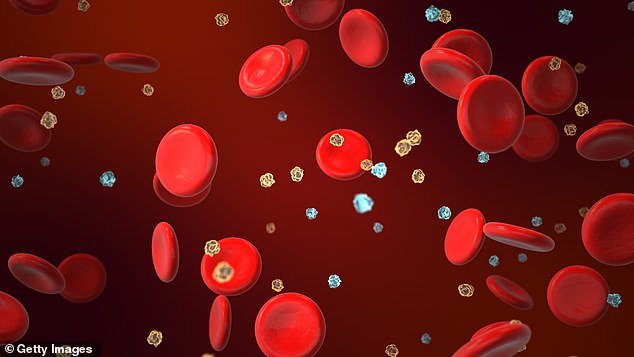 The toxic proteins you’ve never heard of in everyday foods that are silently ageing you and raising your risk of cancer and dementia… and how your AIRFRYER could hold the key to a longer life