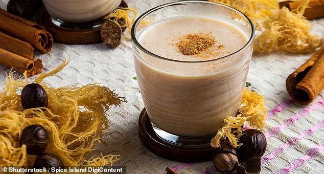 Sea moss is one of 2026’s biggest health food trends: Experts explain what it is and who SHOULDN’T be tucking into a jar of slimy algae
