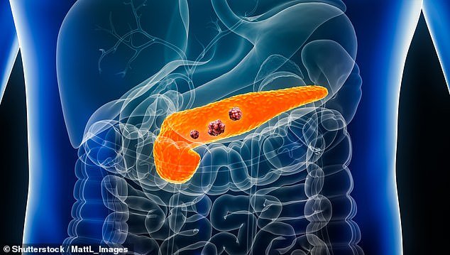 Pancreatic cancer breakthrough as scientists develop new drug that ‘doubles survival rate’ of silent killer