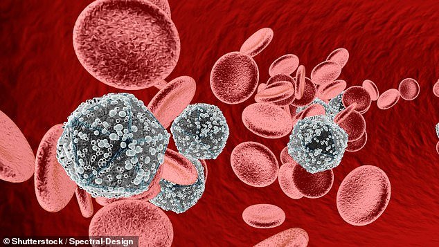 Man CURED of HIV through groundbreaking transplant from his brother in first-of-its-kind procedure