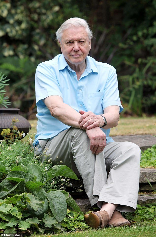 As David Attenborough celebrates his 100th birthday, these are the seven lifestyle secrets of the world’s centenarians