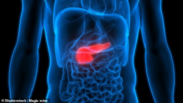Finally a shred of hope for deadly pancreatic cancer victims as new drug gives precious extra months of life – ‘unprecedented’ breakthrough DOUBLES survival
