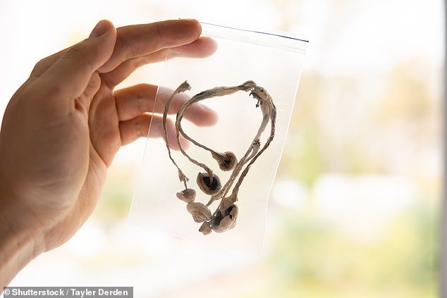 Cocaine addicts could quit after a single dose of magic mushrooms, study suggests