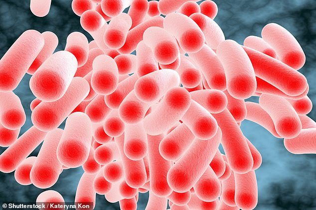 Health chiefs tell diners to check restaurant hygiene ratings as salmonella cases reach decade high