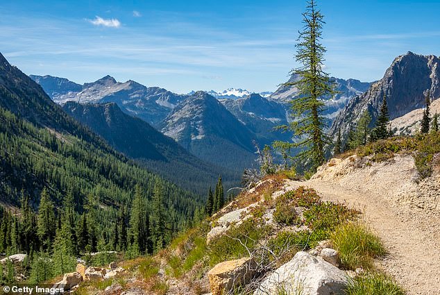 Dozens contracting highly contagious virus along popular hiking trail in California